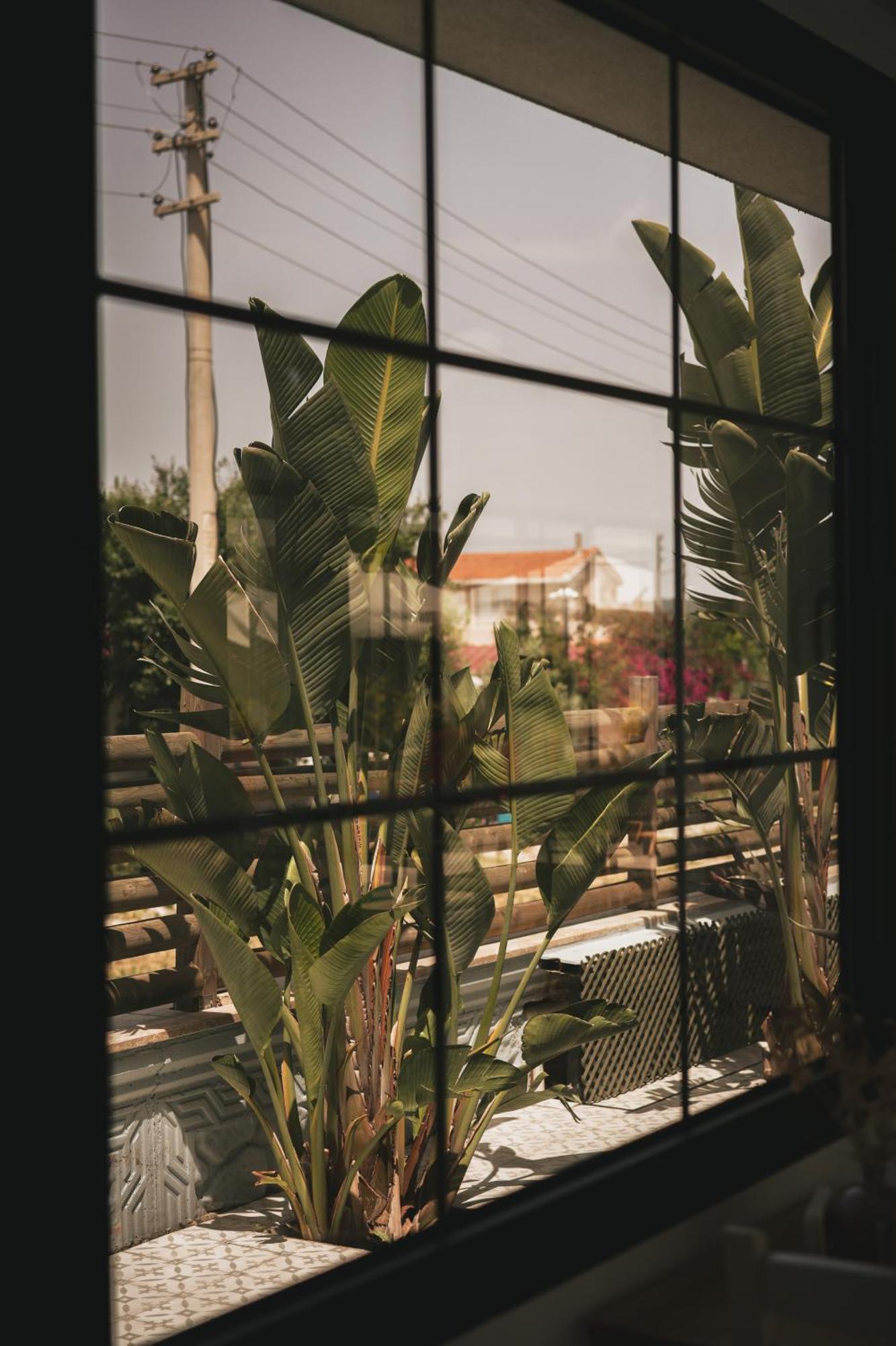 La Vida Otel Urla Bagian luar foto